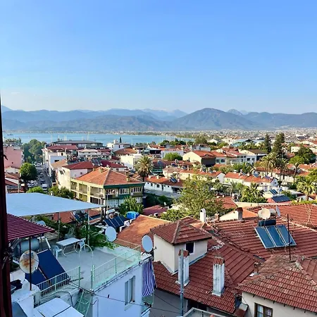Mek Terracex Φετιγιέ